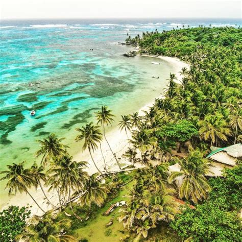 tropical beach and coral reef