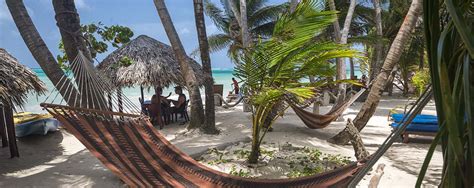 hammocks on a tropical beach