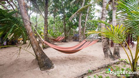 hammocks on a tropical beach