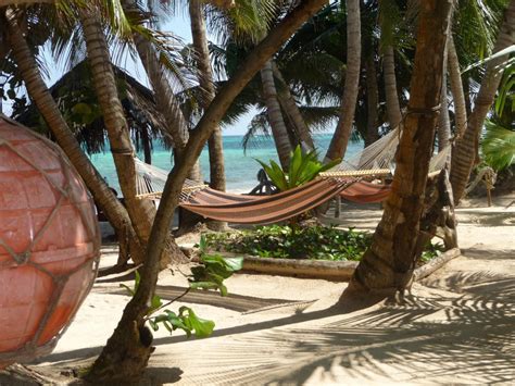 hammocks on a tropical beach